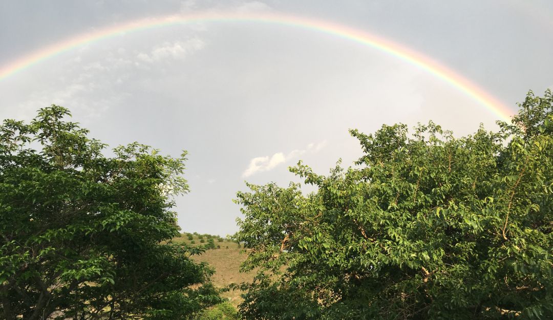 Finca San Gregorio, vereda Capotes, en Tocaima, Cuindinamarca