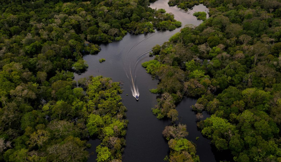 Ayudas al medio ambiente en Colombia: Reino Unido donó $288.000 millones para conservar bosques tropicales