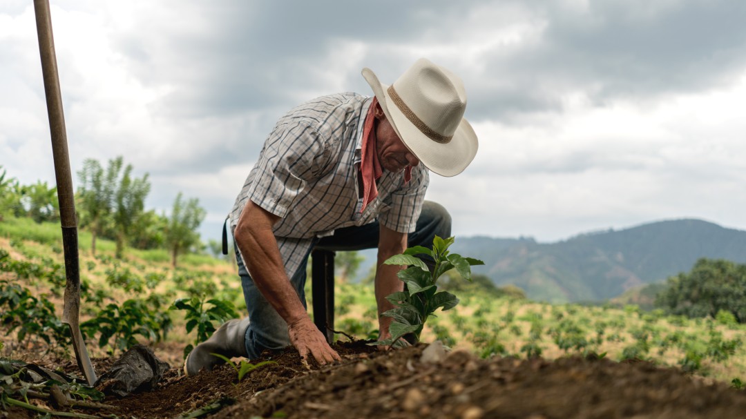 Más de 10.000 toneladas de productos agrícolas represados en Boyacá