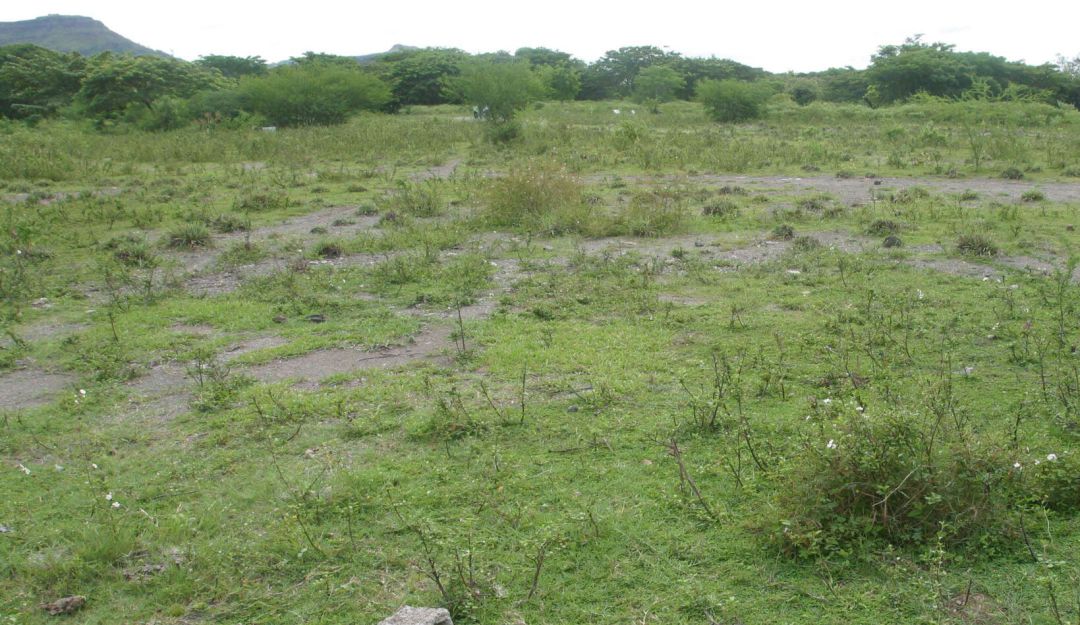 Pereira vende lotes inutilizados.: Municipio de Pereira venderá varios lotes de su propiedad