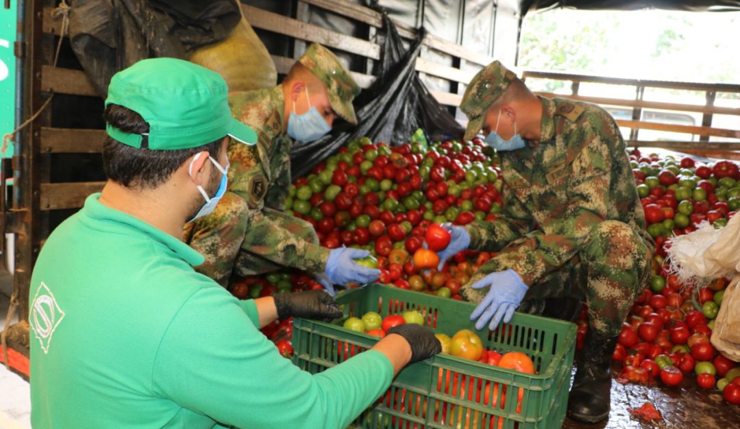 BETULIA SANTANDER TOMATE PERDIDA EJERCITO SERVIENTREGA: Ejército rescata cuatro toneladas de tomate