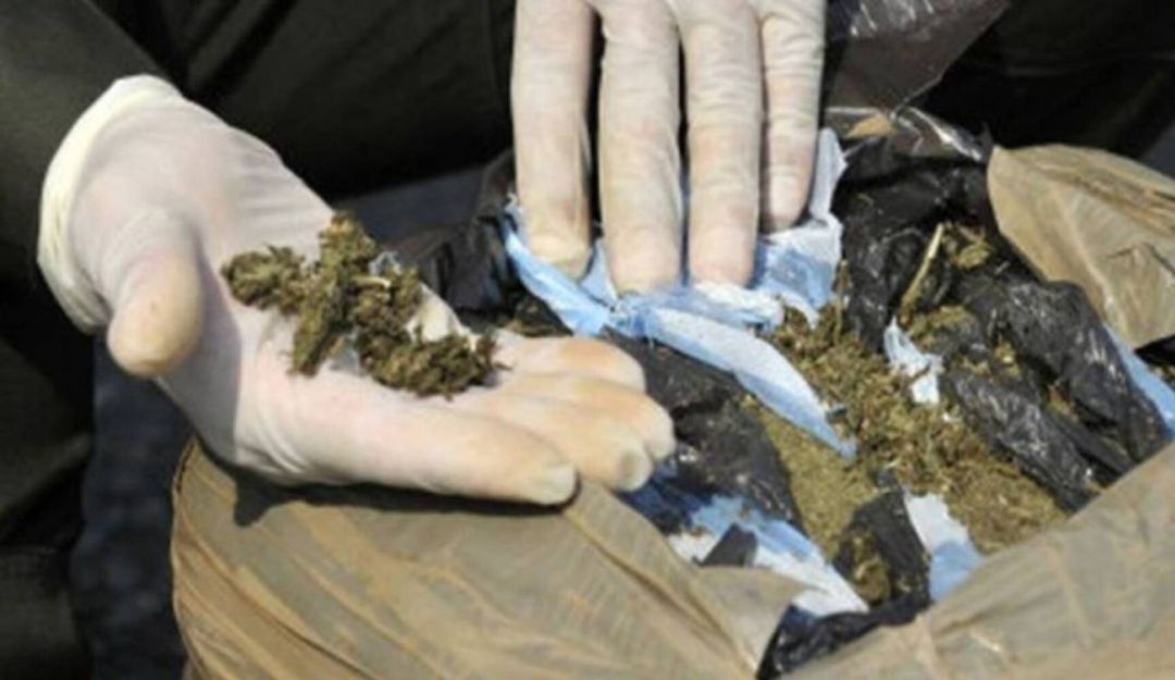 Incautación de estupefacientes en Risaralda: Más de 650 kg de droga fueron incautados en Risaralda
