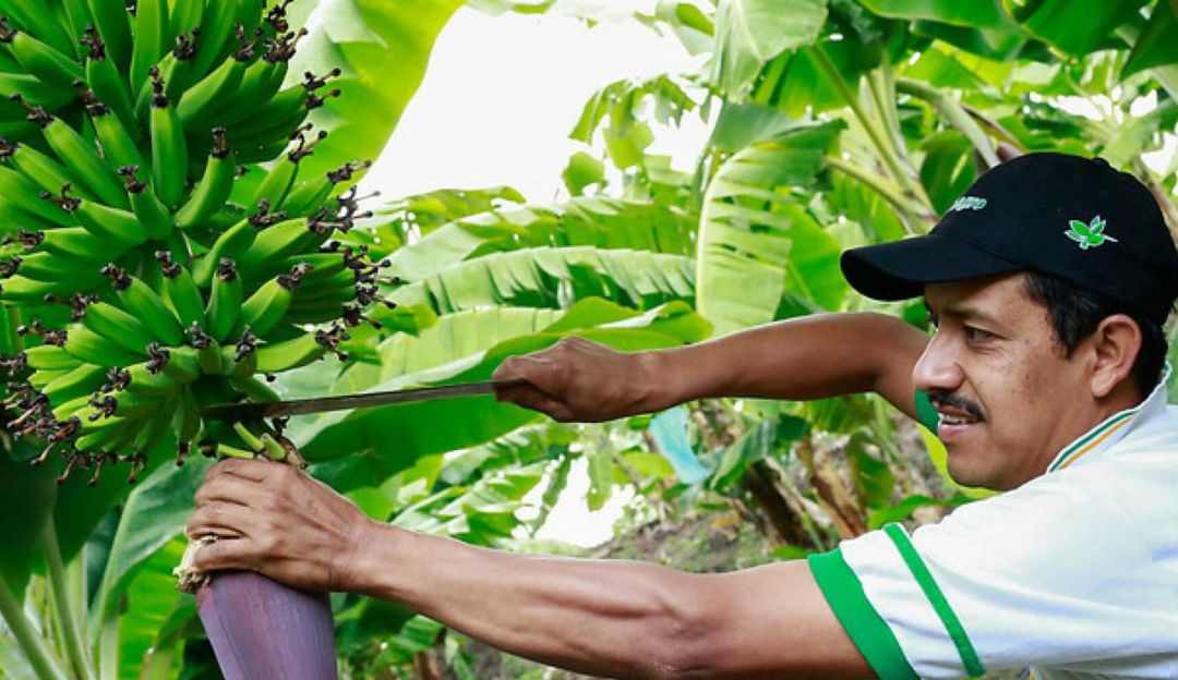 Gremio empresarial de Risaralda planea principales necesidades: Gremio empresarial en Risaralda propone fortalecimiento del campo
