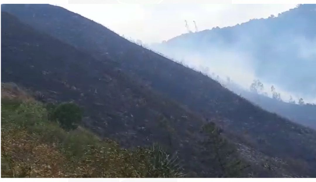 Incendio en Yumbo: Por más de ocho horas bomberos de Yumbo lucharon para sofocar incendio