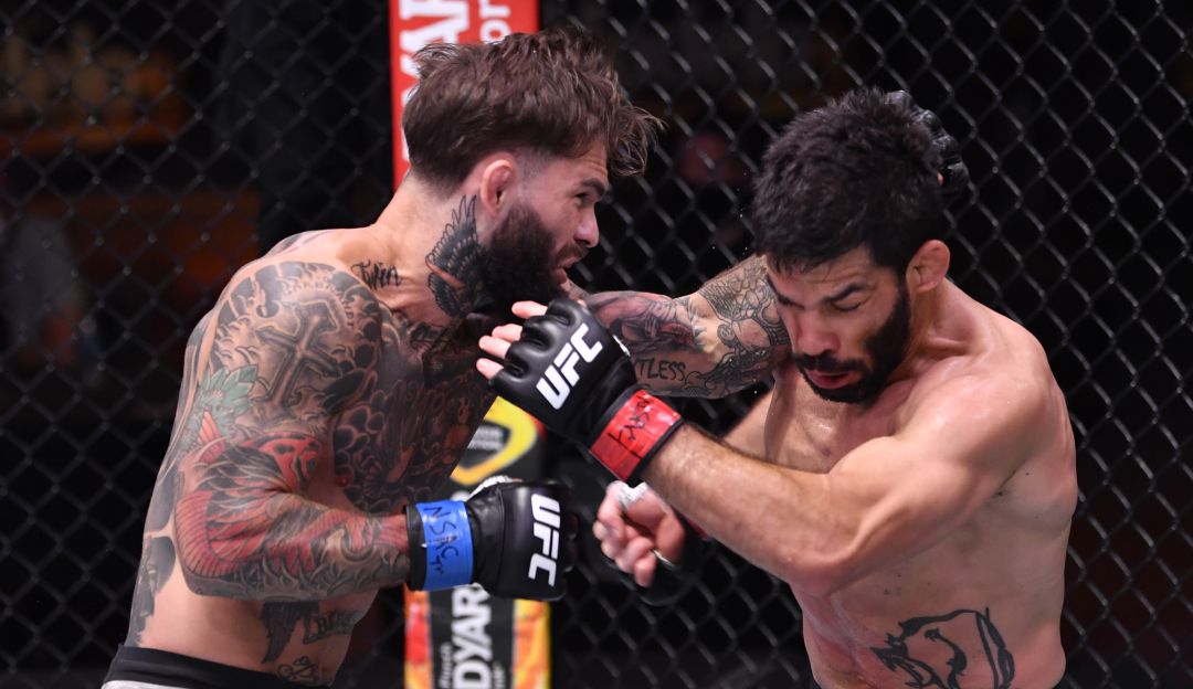 UFC cuatro eventos en Abu Dabi: UFC anunció la realización de cuatro peleas en Abu Dabi