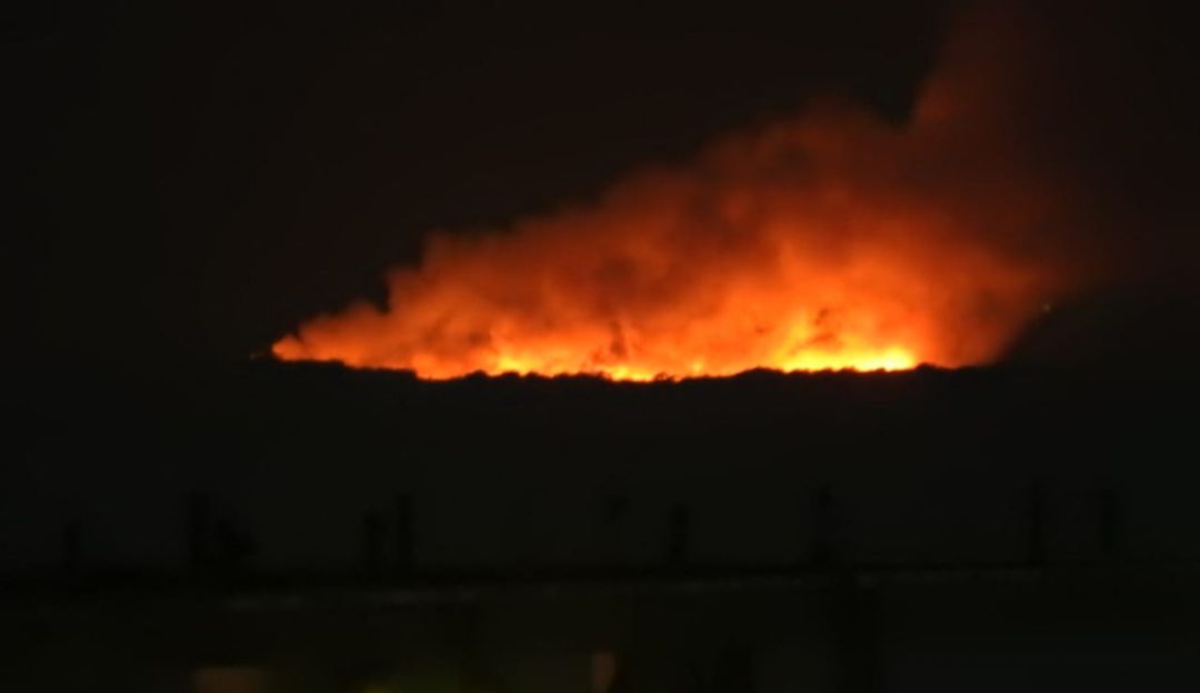 INCENDIOS FORESTALES: Incendio forestal de grandes proporciones en parque Isla Salamanca