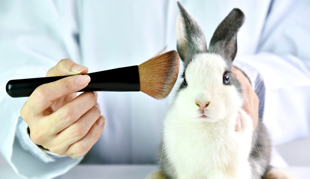 Testeo de productos animales: Colombia pone fin al testeo de productos cosméticos en animales