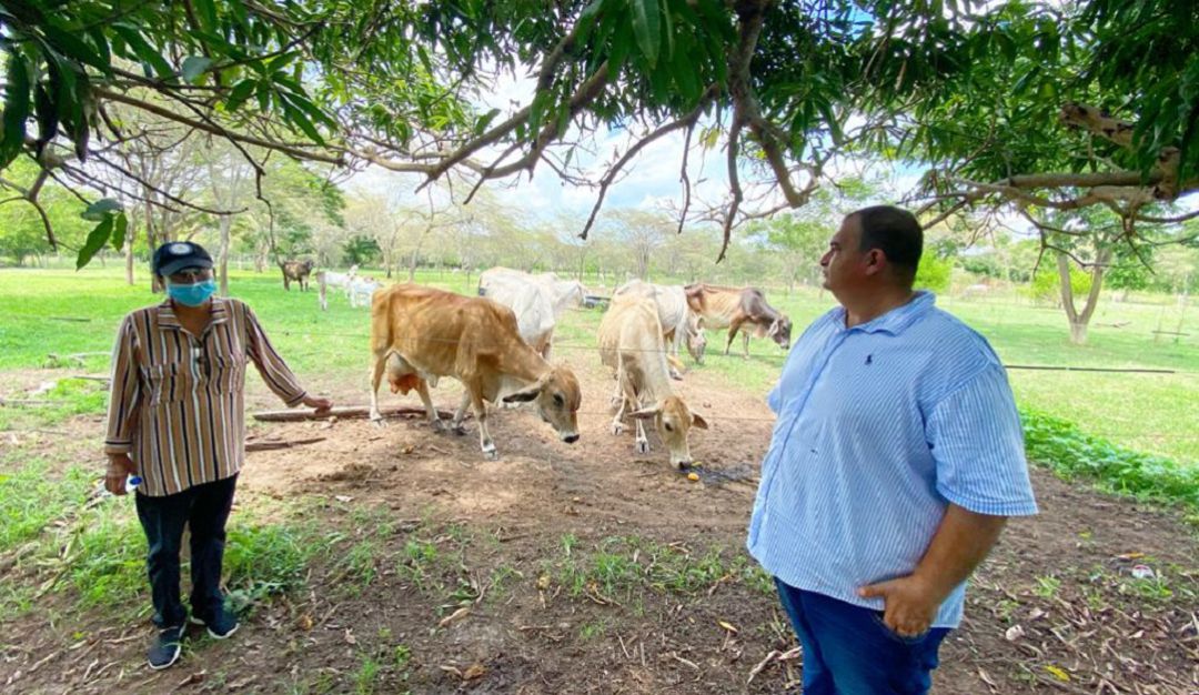 Escuela Bilingüe Formadora de Campesinos, en el municipio de Algarrobo, Magdalena