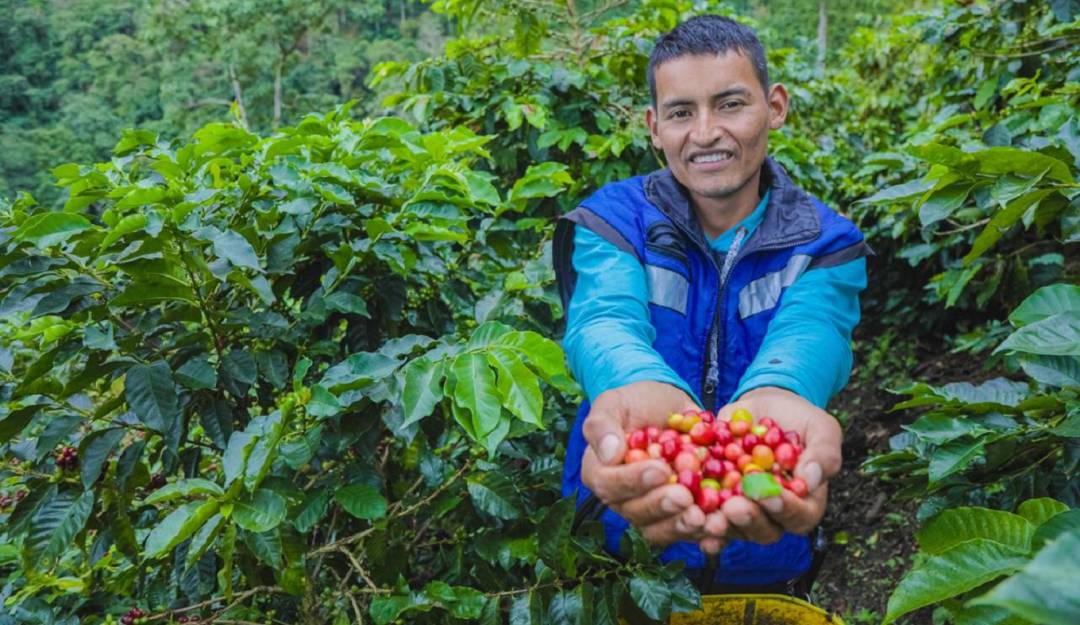 Formalización de tierras a cafeteros