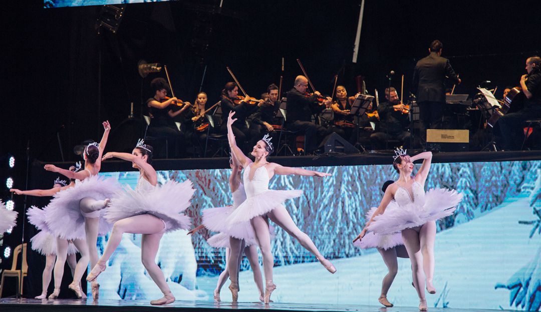 Conciertos en Medellín: En Medellín, música y danza clásica se unen en charla y concierto virtual