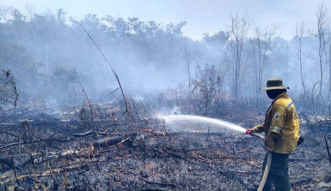 INCENDIOS FORESTALES: Bomberos intentan controlar incendio en parque Isla Salamanca