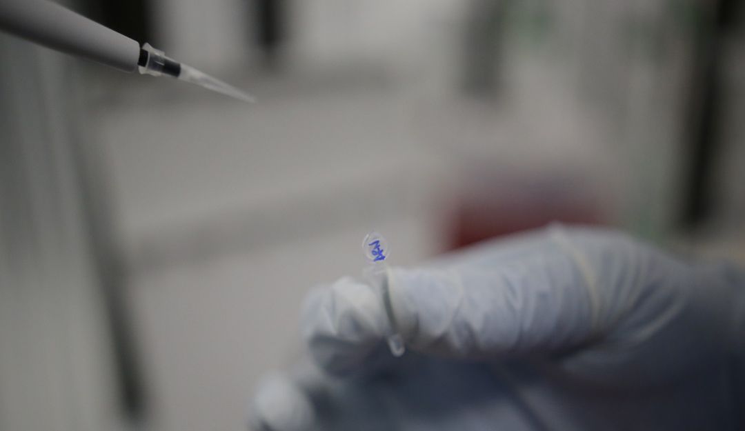 muertes cordoba monteria coronavirus covid-19 fallecimientos casos: Tres nuevas muertes por COVID-19 en Córdoba, que acumula 28 fallecimientos