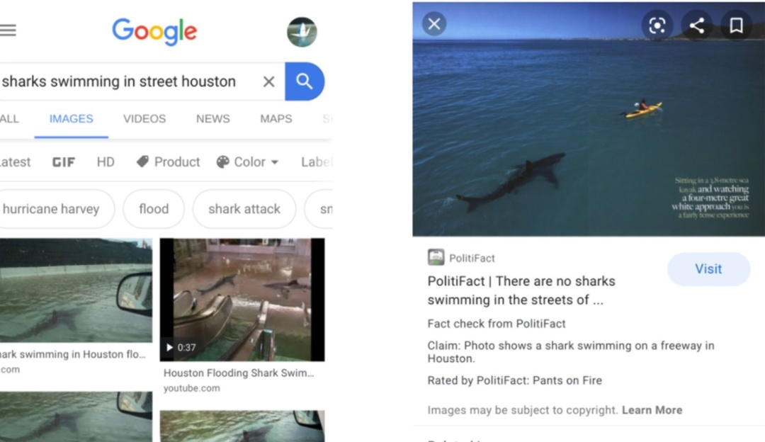 Etiquetas en Google: 'Fact check', ahora en las imágenes de Google
