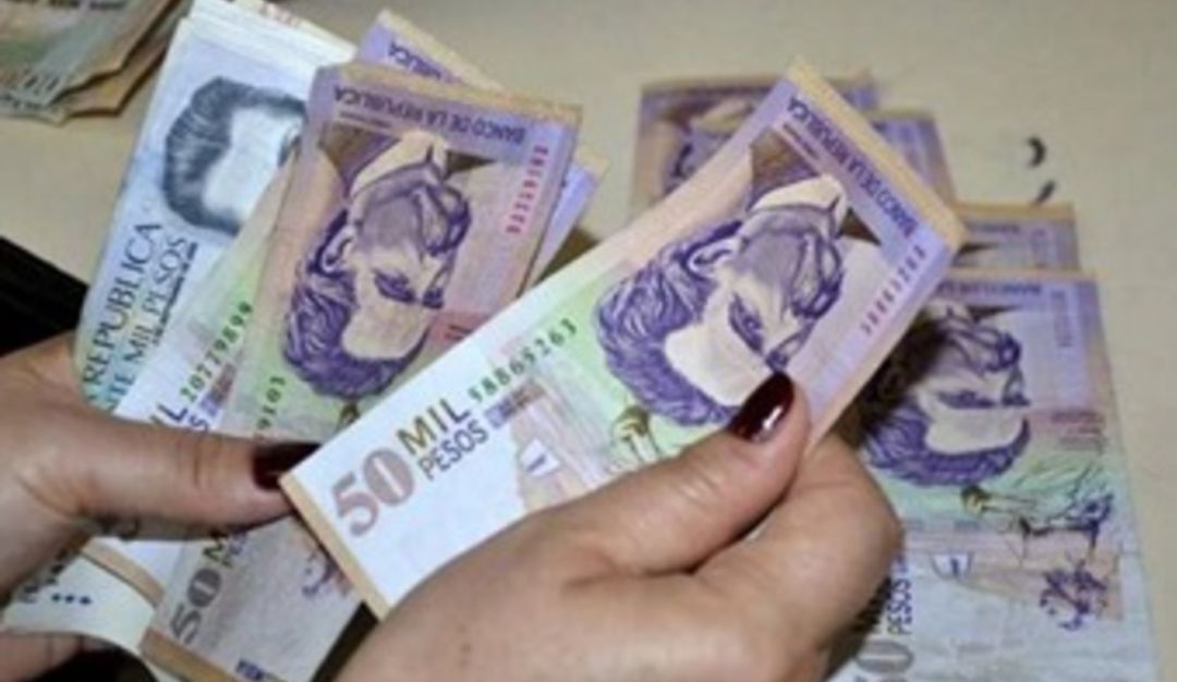 Presuntos favores políticos en Pereira: Contrato de logística se encuentra en la lupa de los veedores en Pereira