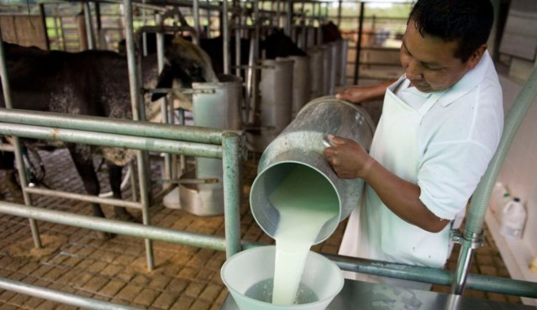 campesinos mercados productos compra Boyacá comercialización leche producto: Boyacá apoya a sus campesinos con la compra de productos