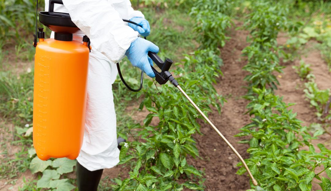 Bayer demanda por herbicida: Bayer llegó a acuerdo por US $10.000 millones con demandantes por herbicida