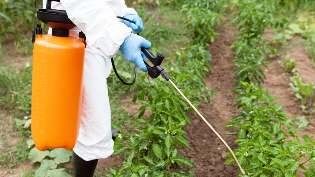 Bayer llegó a acuerdo por US $10.000 millones con demandantes por herbicida