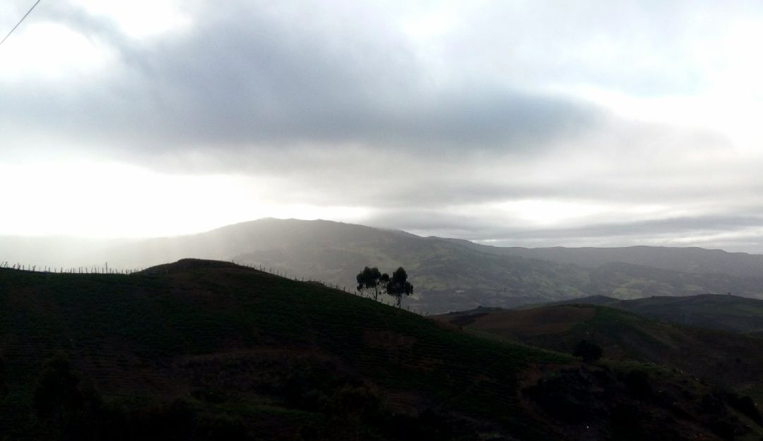 BUCARAMANGA, SANTANDER, POLVO DE SAHARA: En dos provincias se muestran nubes similares al polvo de Sahara