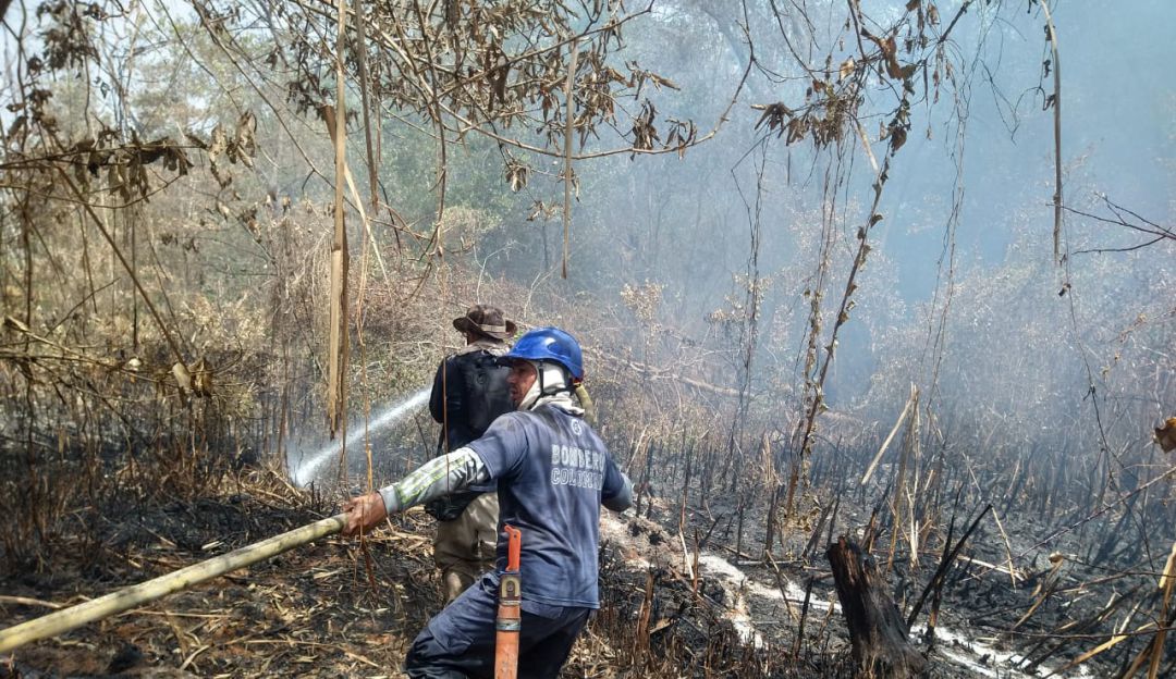INCENDIO FORESTAL: En un 80% se ha controlado incendio en el parque Isla Salamanca: Bomberos