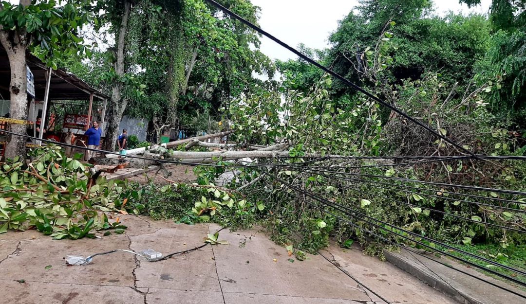 Lluvias: Reportan emergencias en municipios de Sucre por lluvias y fuertes vientos