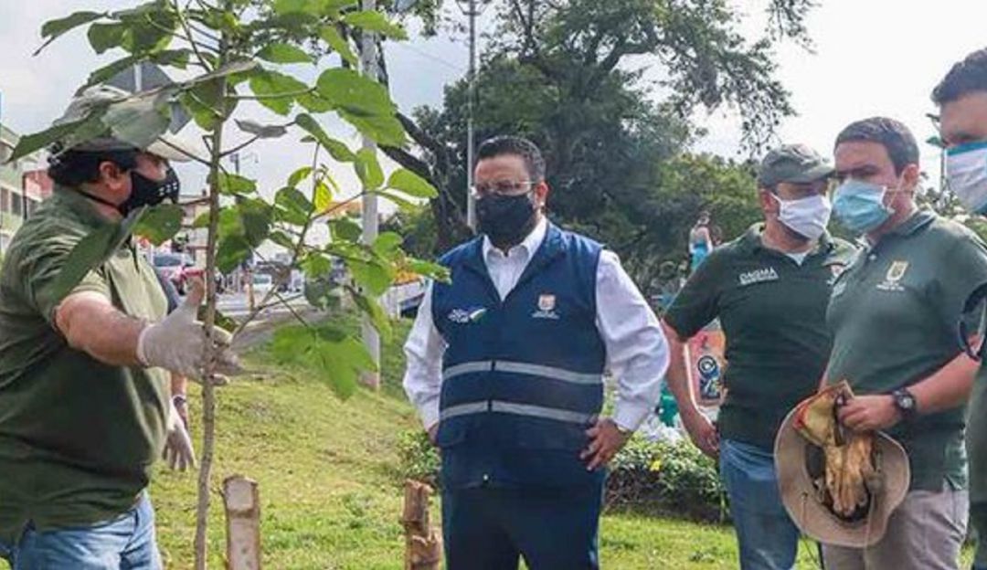 Contagios funcionarios de la alcaldía de Cali: El director del DAGMA dio positivo para coronavirus