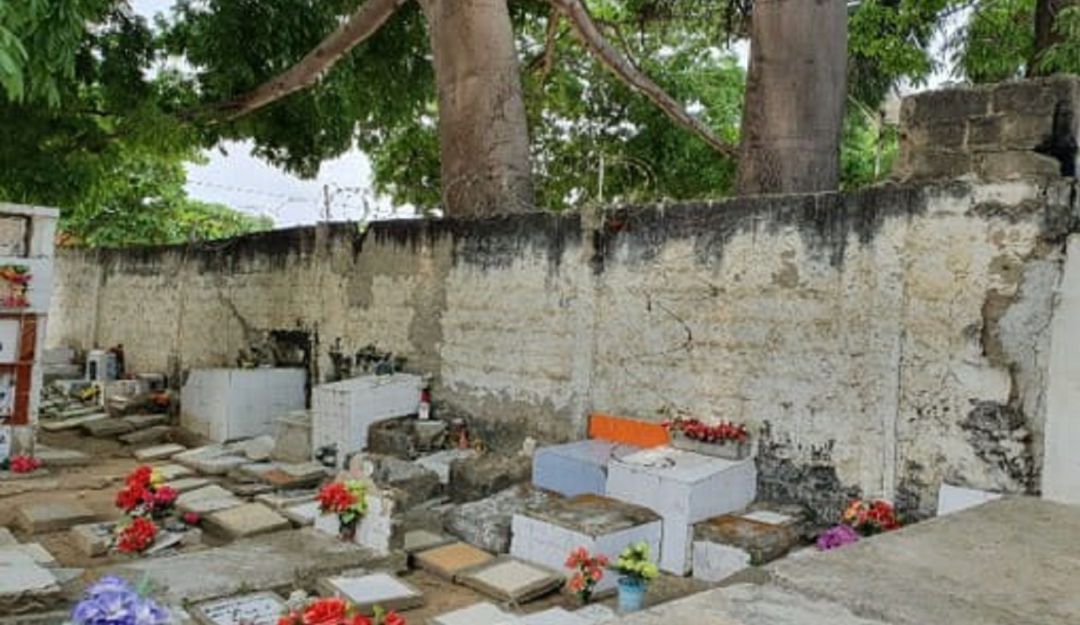 Cementerios públicos Cartagena: Cementerios públicos de Cartagena serán intervenidos