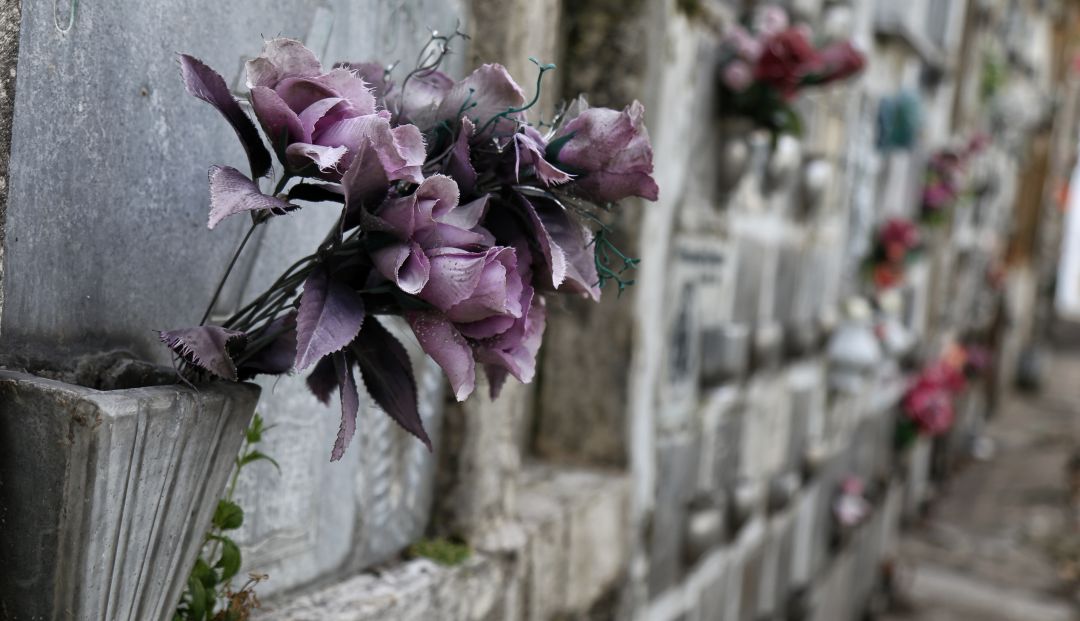 La OPS prevé 400.000 muertos en Latinoamérica y el Caribe en tres meses