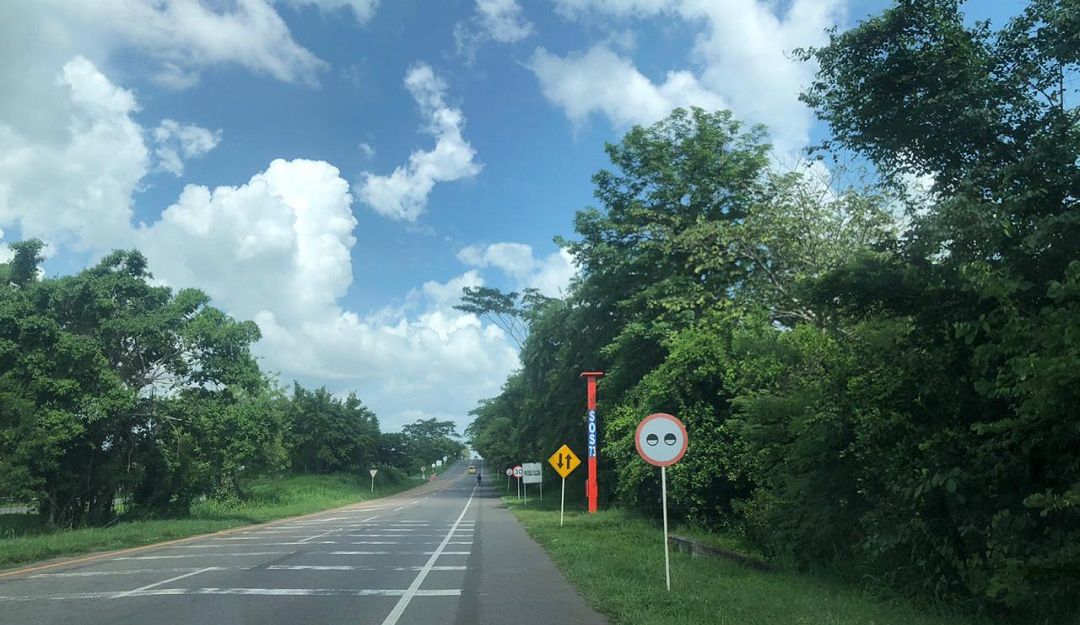 Siniestralidad en Colombia: Seguridad en las vías es responsabilidad de todos