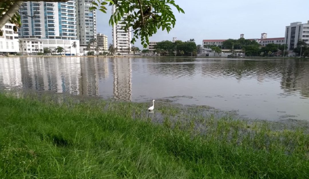 El Laguito Cartagena: Queremos soluciones definitivas: vecinos de El Laguito en Cartagena