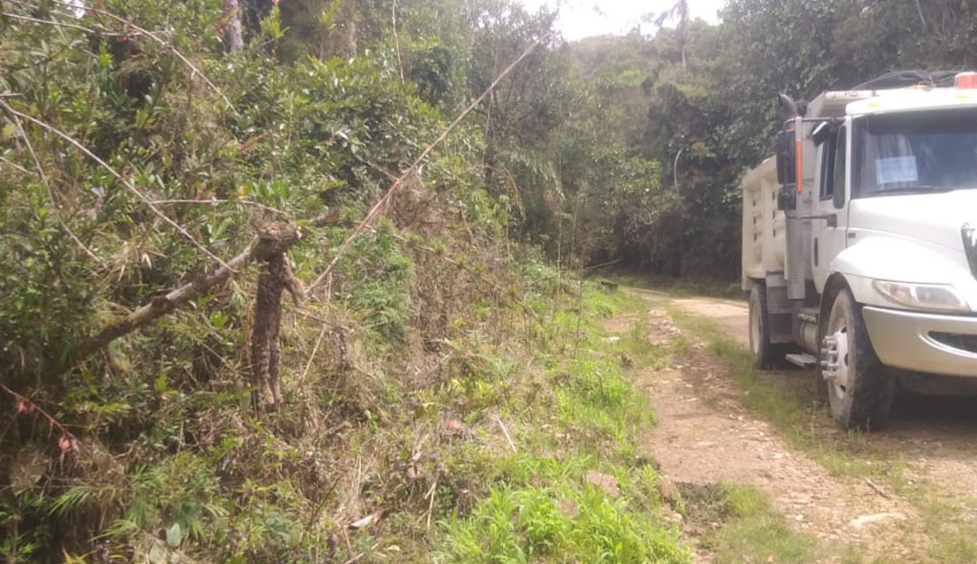 Asesinato Tigrillo Cundinamarca: Investigan asesinato de tigrillo en el municipio de Cabrera, Cundinamarca