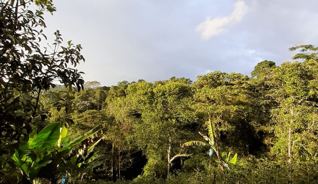 Hermoso paisaje desde zona rural del municipio de Filandia, Quindío