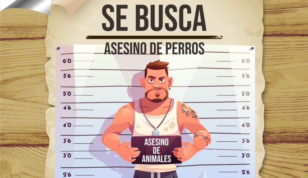 Con este cartel las autoridades buscan a los responsables de la muerte de los animales.