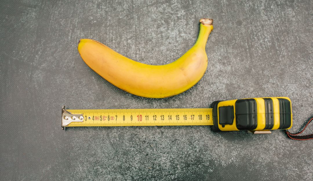 Datos curiosos sobre el pene: Experto explicó el motivo por el cual el tamaño del pene sí importa