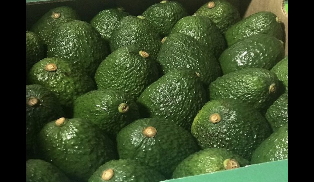 Coronavirus: La venta de aguacate en el mercado nacional se afectó por la pandemia