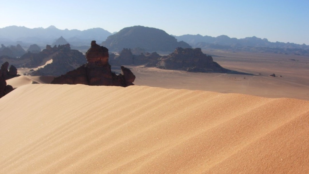 Algas del desierto arrojan luz sobre tolerancia a desecación en plantas
