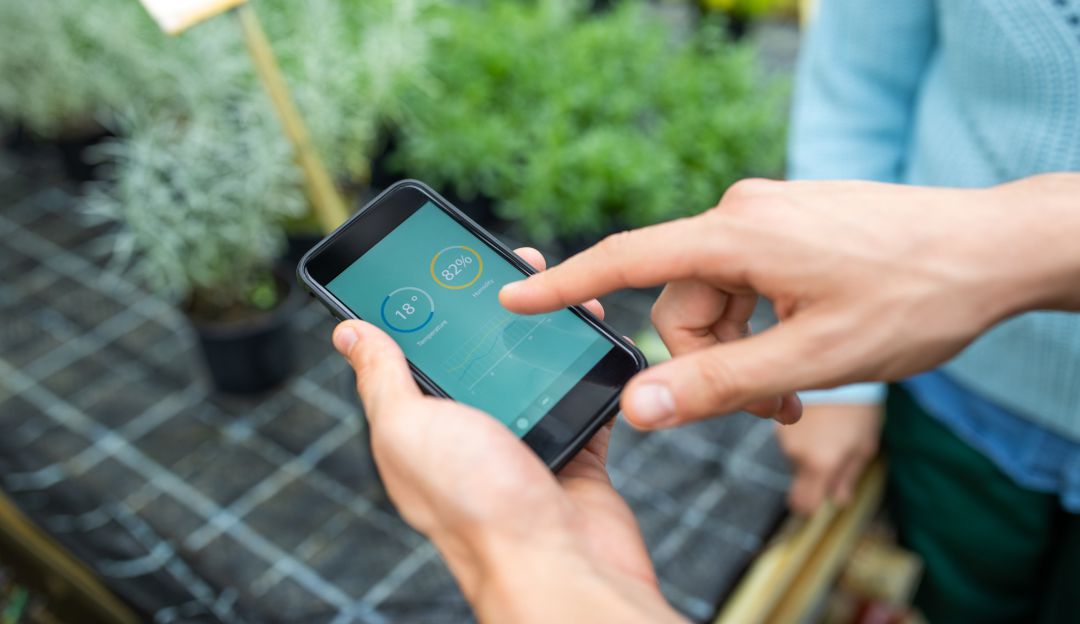 Google Aplicaciones: Conozca las 'apps' que Google eliminó porque le hacen daño a su celular