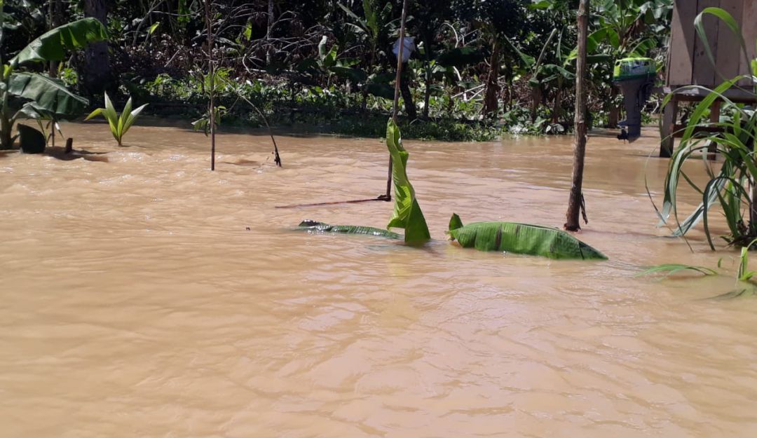 Son tres mil las familias afectadas en Vigía del Fuerte por las lluvias