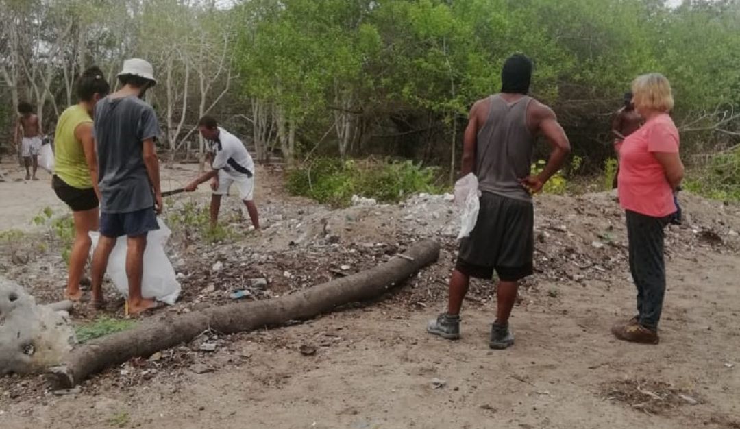 Recolección residuos solidos Playa Blanca en Cartagena: Comunidad de Playa Blanca lidera jornadas de recolección de residuos