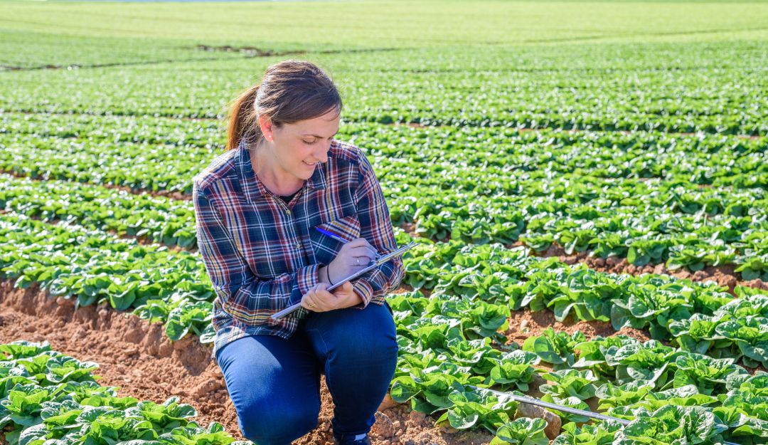 Las miradas de los jóvenes apuntan al sector agropecuario