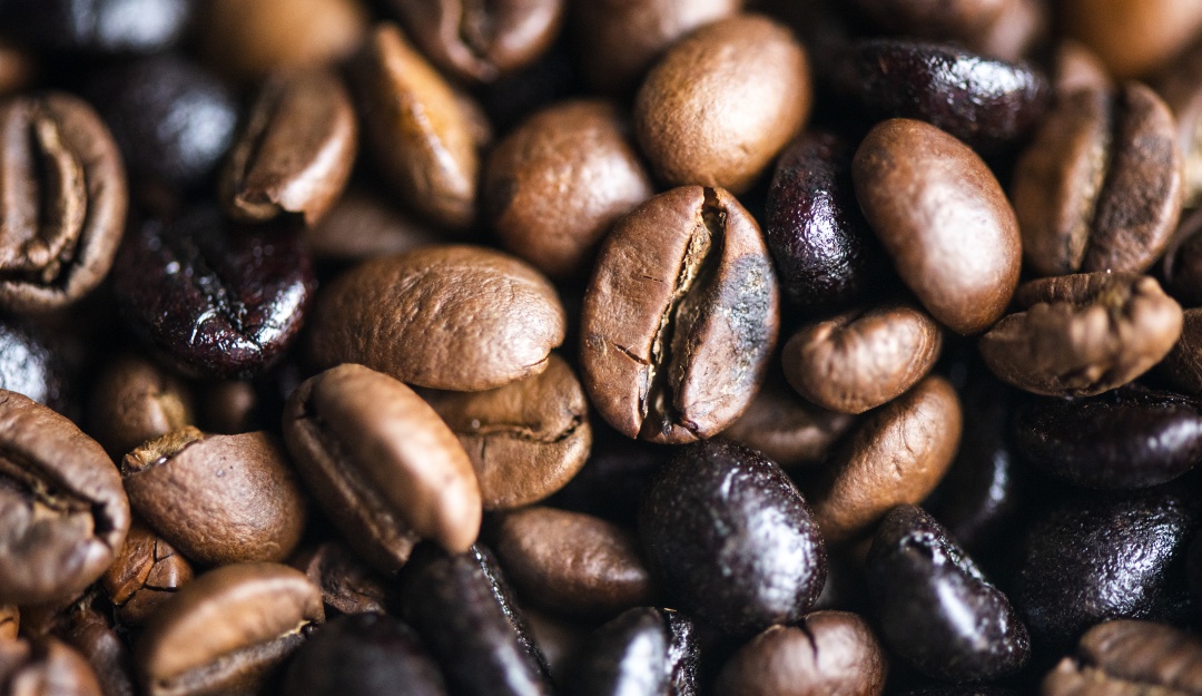 Café Europa Asia: Café cultivado en tierras restituidas en mercado de Europa y Asia
