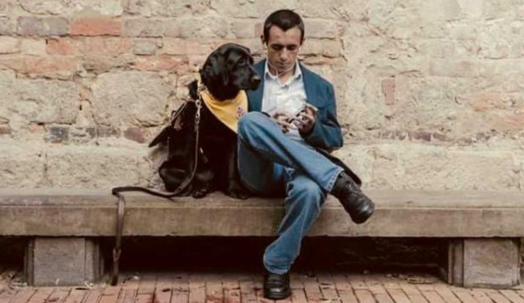 Perros guía: Viendo a través de los ojos de un perro guía