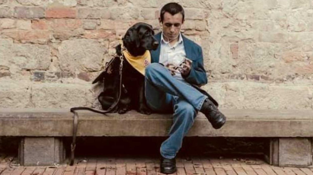 Viendo a través de los ojos de un perro guía