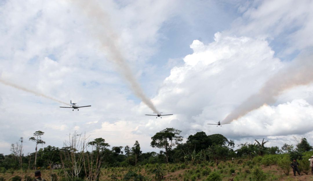 Lucha antidrogas: Congresista demócrata de EE.UU. pide cambio en ayuda antidrogas a Colombia