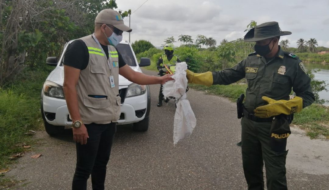 Policía Metropolitana en Cartagena: Serpiente Mapaná es retornada a su hábitad en Cartagena