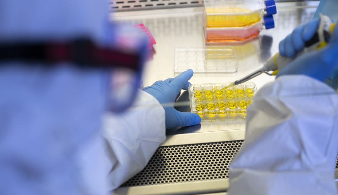 Agrosavia, laboratorio coronavirus: Youtuber del Campo muestra cómo se hacen las pruebas de coronavirus