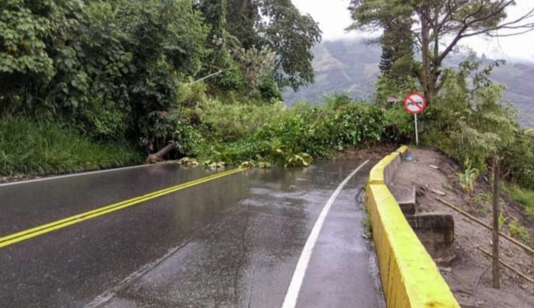 Derrumbes vía La Línea: Derrumbes afectan vía a la Línea en el Tolima