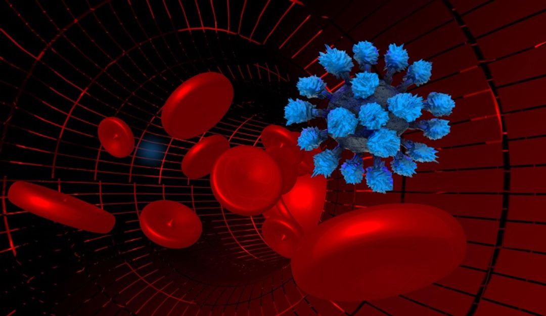 El coronavirus realiza cambios que hacen que las células no lo reconozcan
