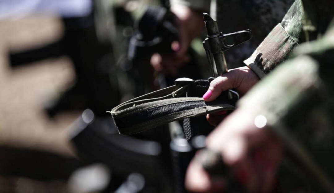 Reclutamiento de menores Farc: Reductos de extinta guerrilla de las Farc siguen reclutando menores: FF.MM.