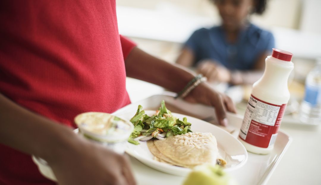 Dieciocho niños se intoxicaron tras recibir refrigerio en colegio de Boyacá: Dieciocho niños se intoxicaron tras recibir refrigerio en colegio de Boyacá Dieciocho niños se intoxicaron tras recibir refrigerio en colegio de Boyacá: Dieciocho niños se intoxicaron tras recibir refrigerio en colegio de Boyacá