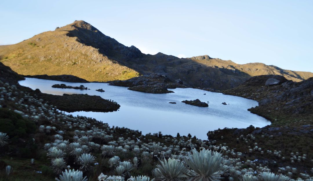 Ambientalistas asesinados: Colombia, el país más peligroso para los defensores del ambiente en 2019